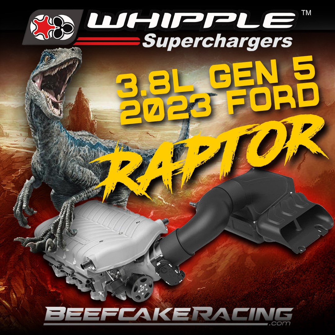 3-8-raptor-whipple-jpg.jpg