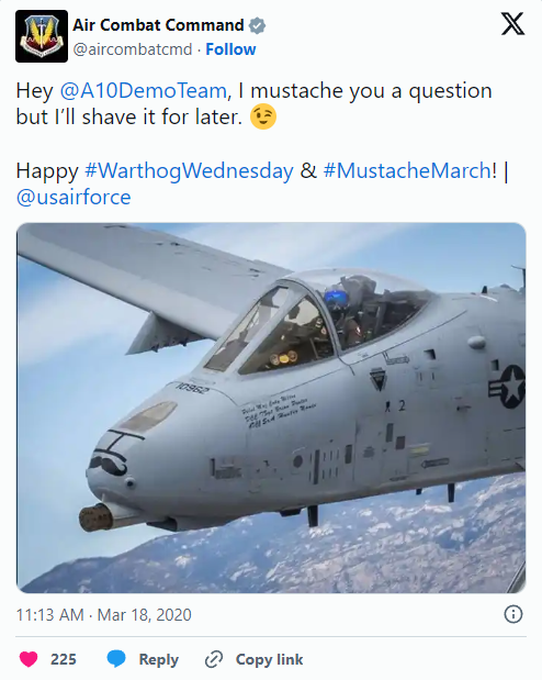 A-10 with mustache.png