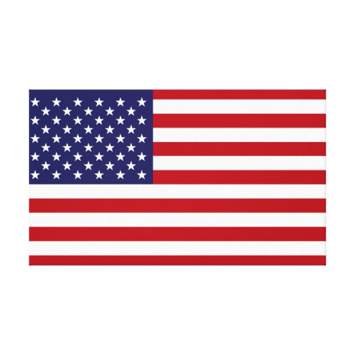 american_flag_stretched_canvas_print-r8a311e8150b1489d88cba6aa3b8dcbdc_oh5q_8byvr_512.jpg