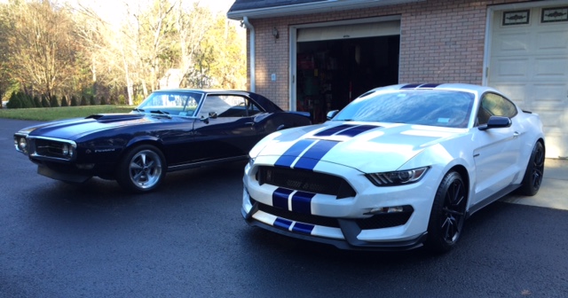Bird and GT350 side to side.jpg