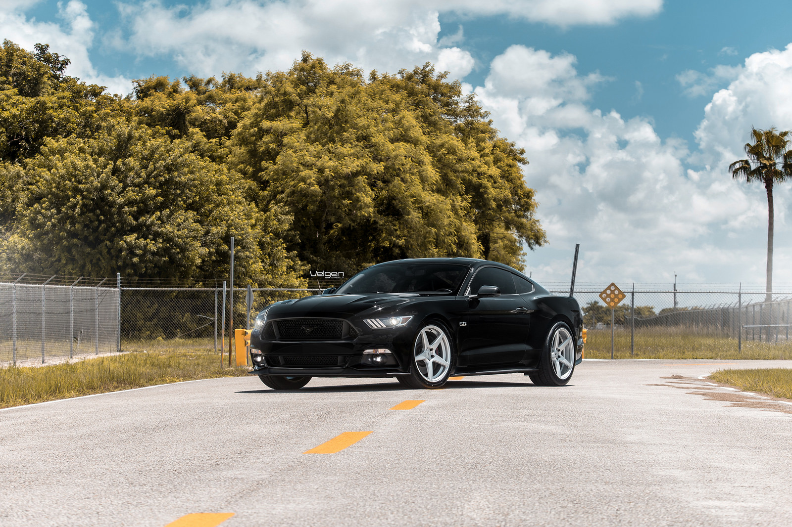 Black-Mustang-Classic5-Silver-1-1.jpg