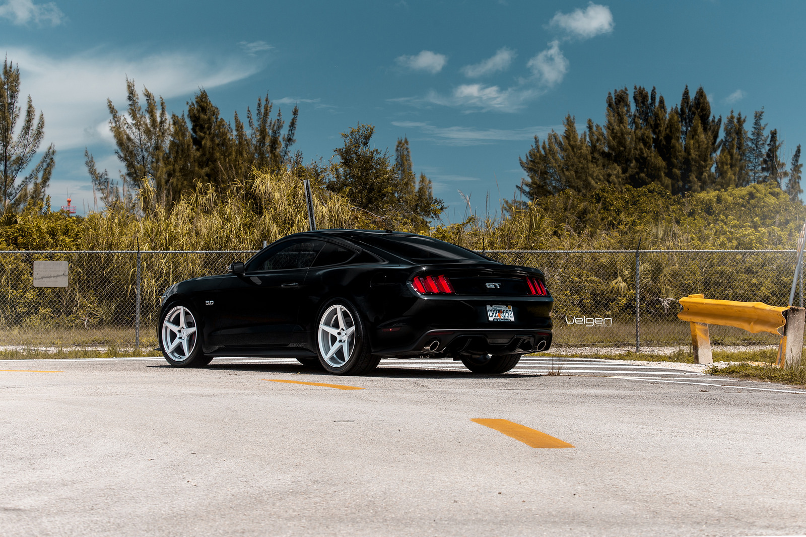 Black-Mustang-Classic5-Silver-4.jpg