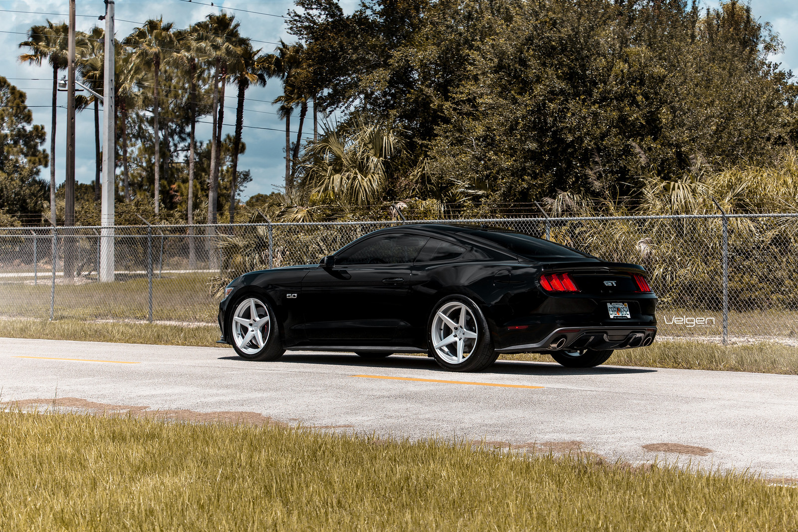 Black-Mustang-Classic5-Silver-6.jpg