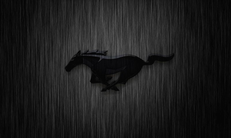 black_horse_cropped.jpg