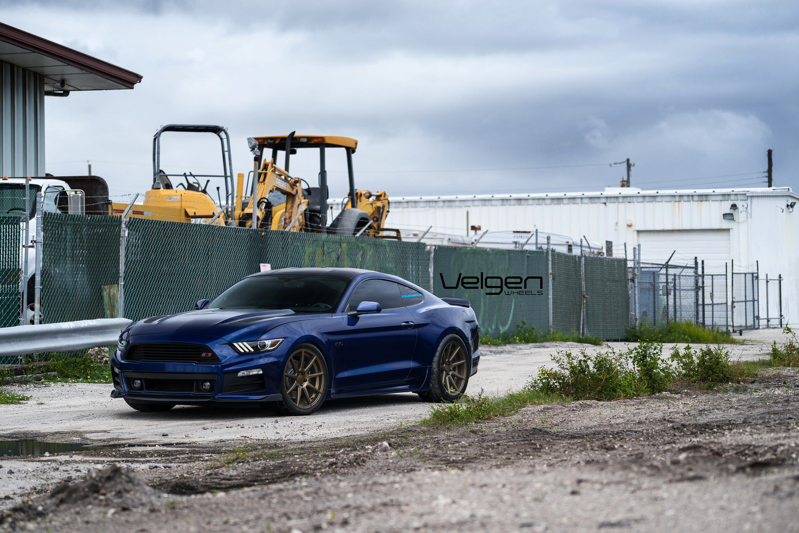 Blue-Mustang-on-VMB9-Bronze-3.jpg