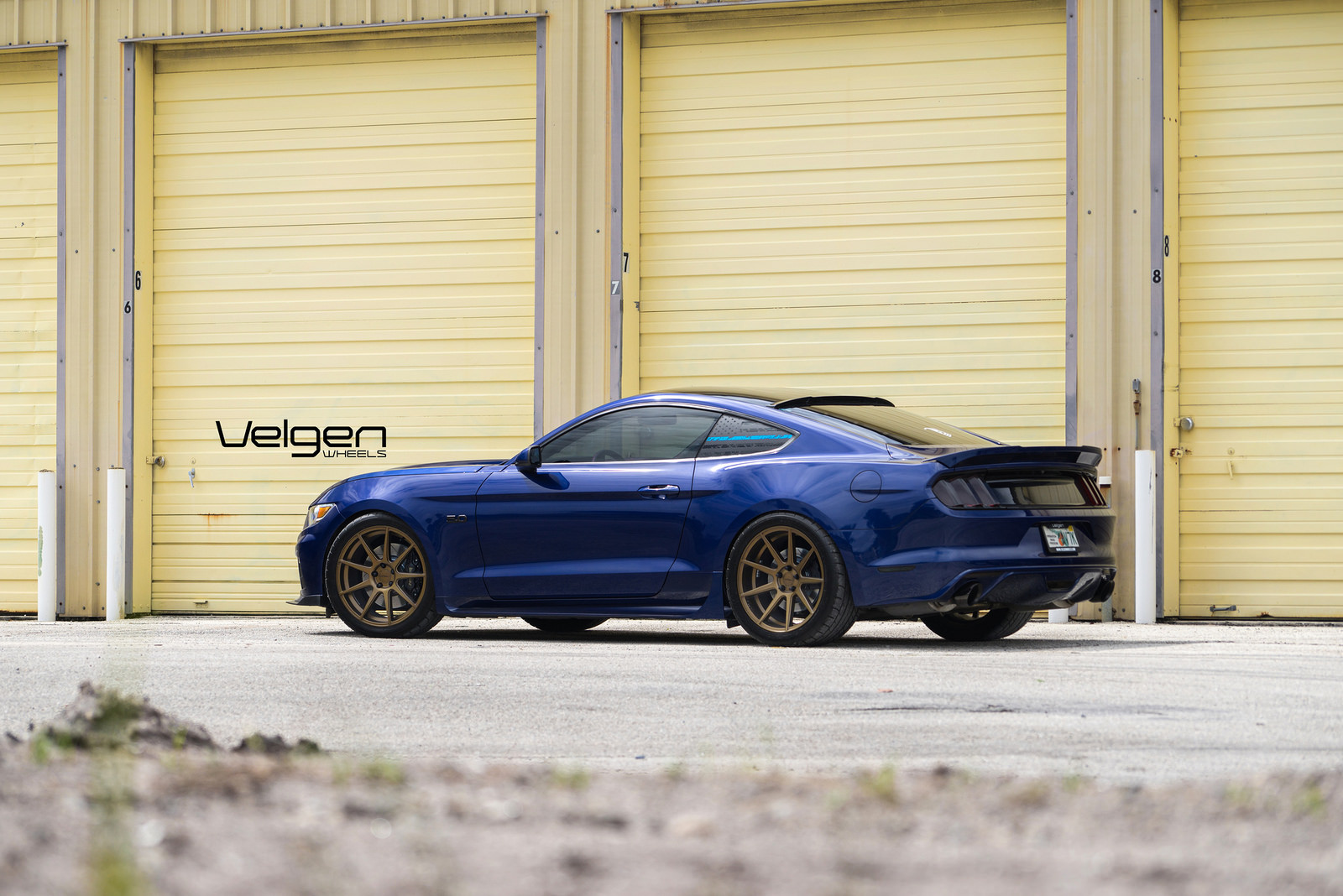 Blue-Mustang-on-VMB9-Bronze-4.jpg