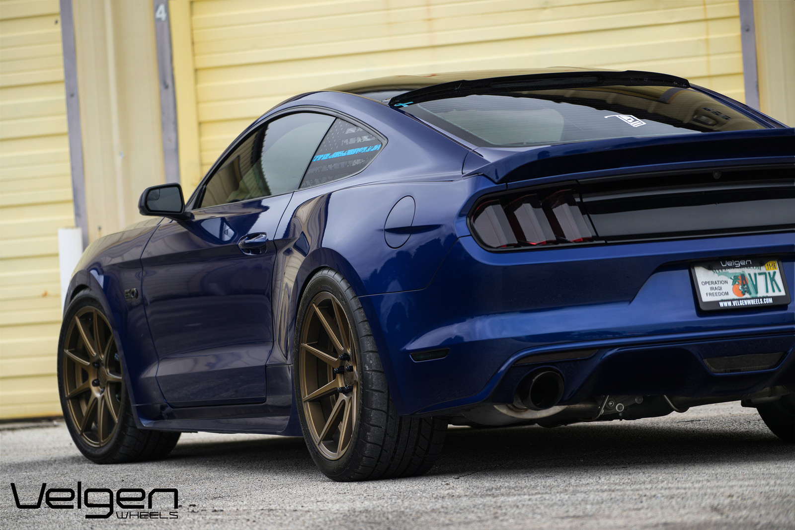 Blue-Mustang-on-VMB9-Bronze-6.jpg