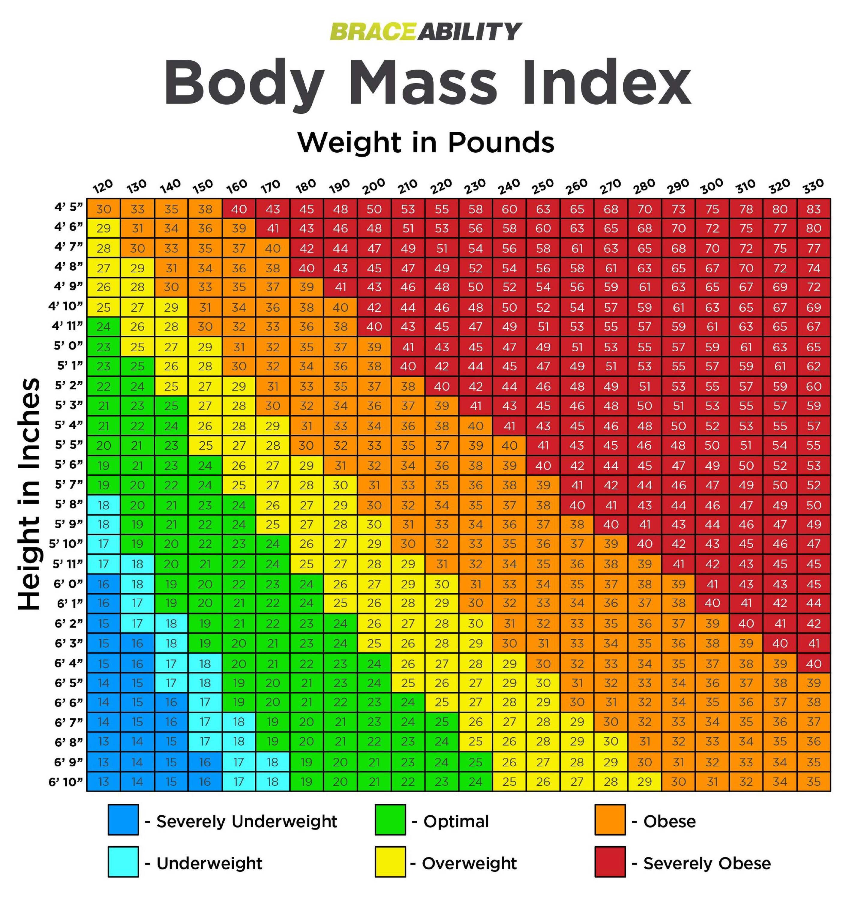 bmi-body-mass-index-for-plus-size-obese-chart.jpg