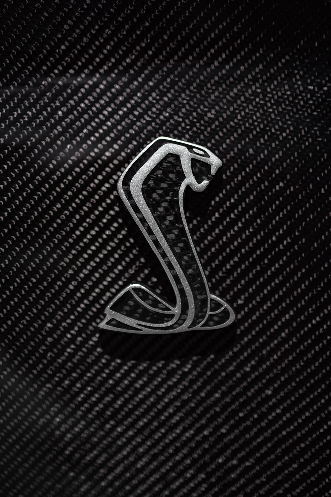 Carbon Fender Emblems Silver4.jpg
