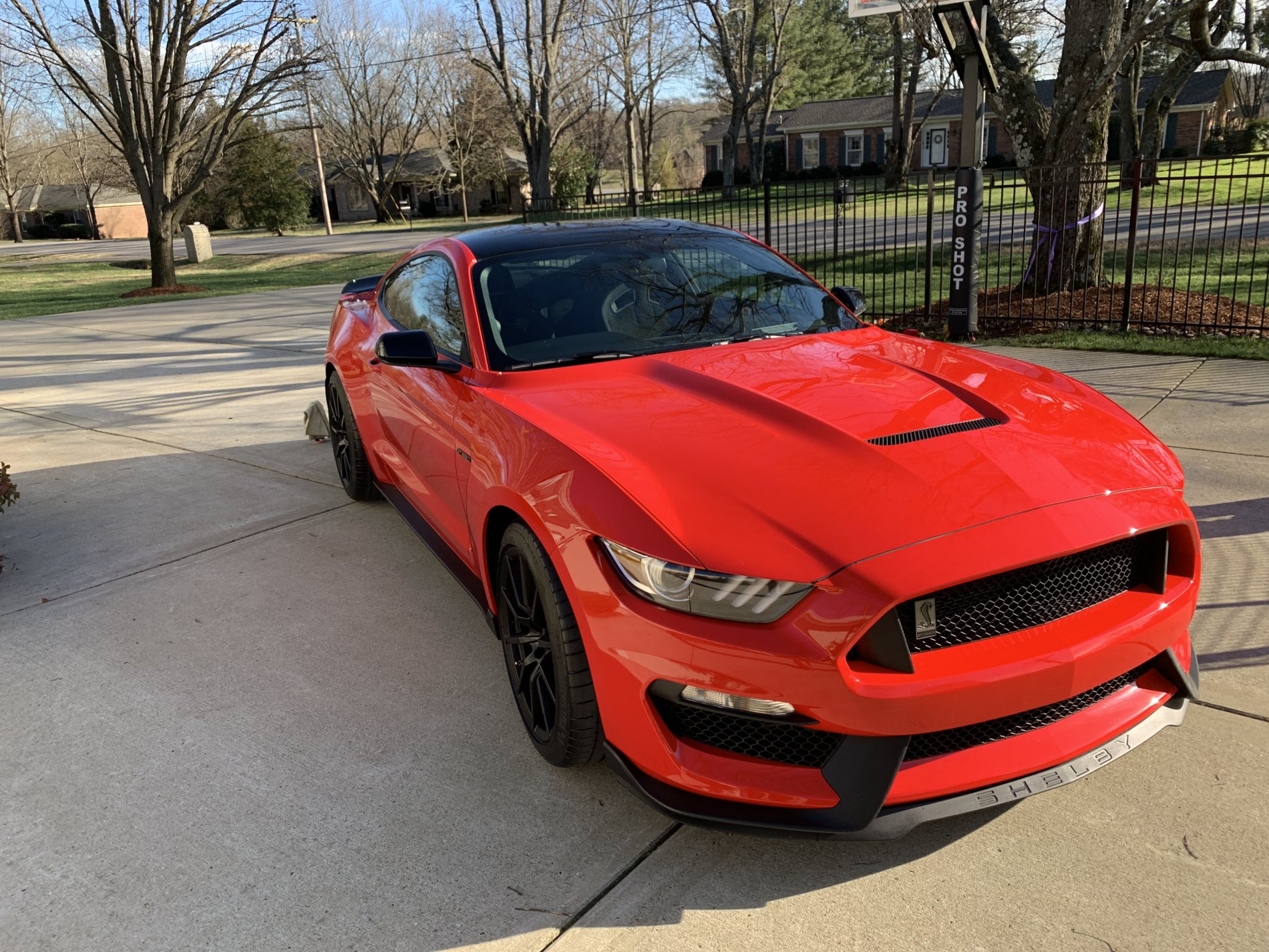 2015 Mustang Gt For Sale Bc