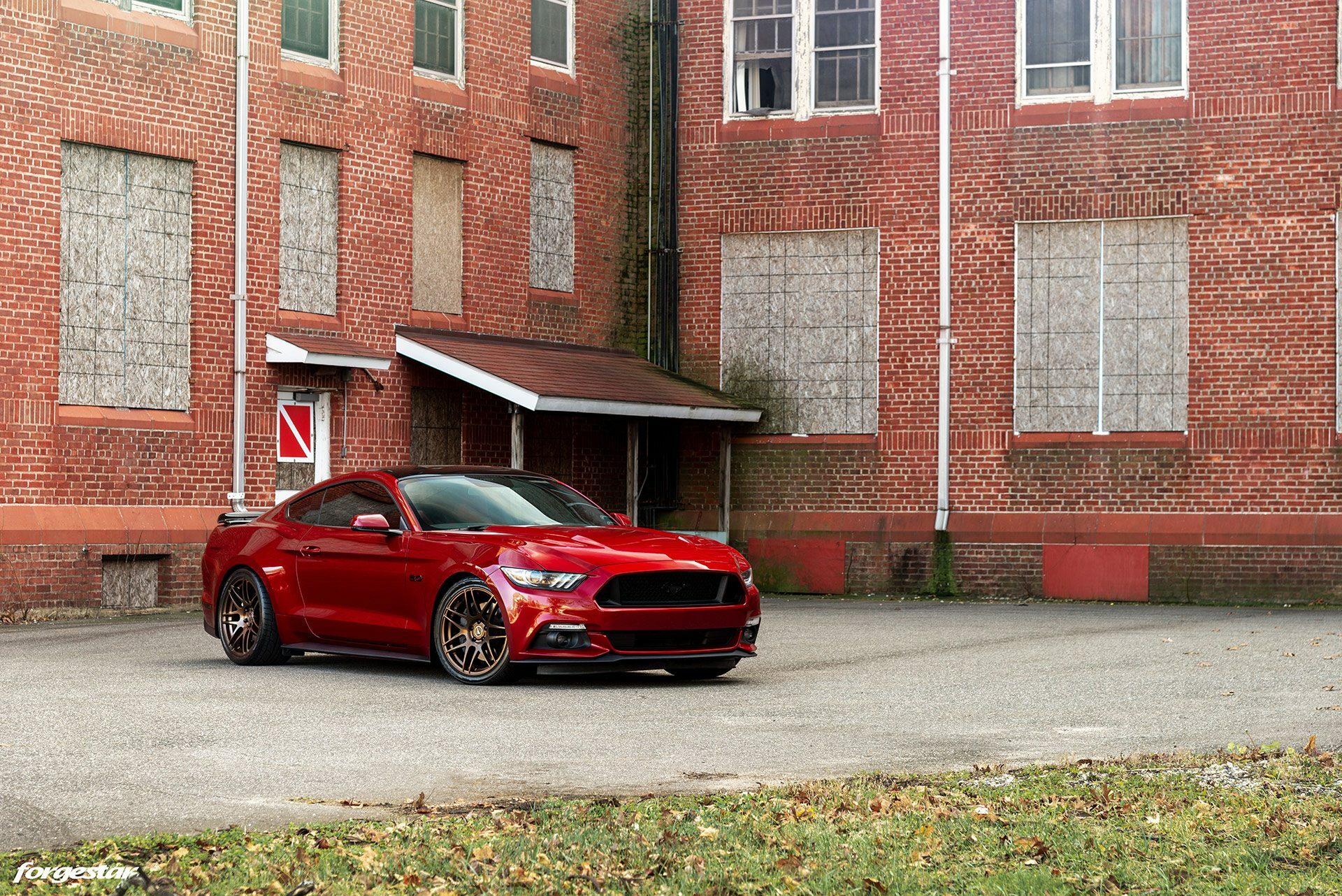 dark-red-ford-mustang-gt-s550-bronze-forgestar-f14-lowered-e.jpg