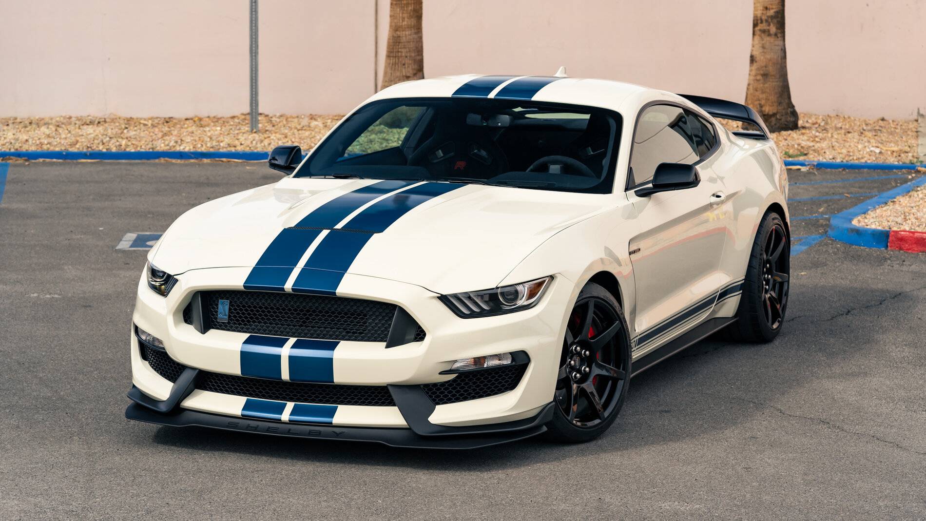 Any New Licence Plate Ideas For The Gt350 Page 55 15 S550 Mustang Forum Gt Ecoboost Gt350 Gt500 Bullitt Mach 1 Mustang6g Com