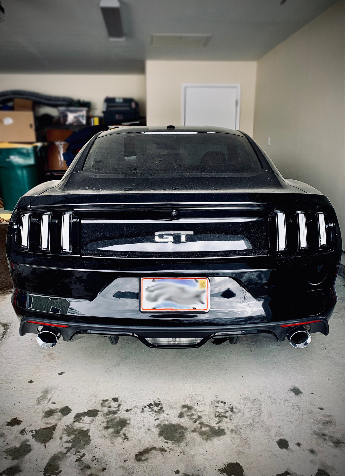 Euro Tail Lights on Black ‘16 PP GT | 2015+ S550 Mustang Forum (GT