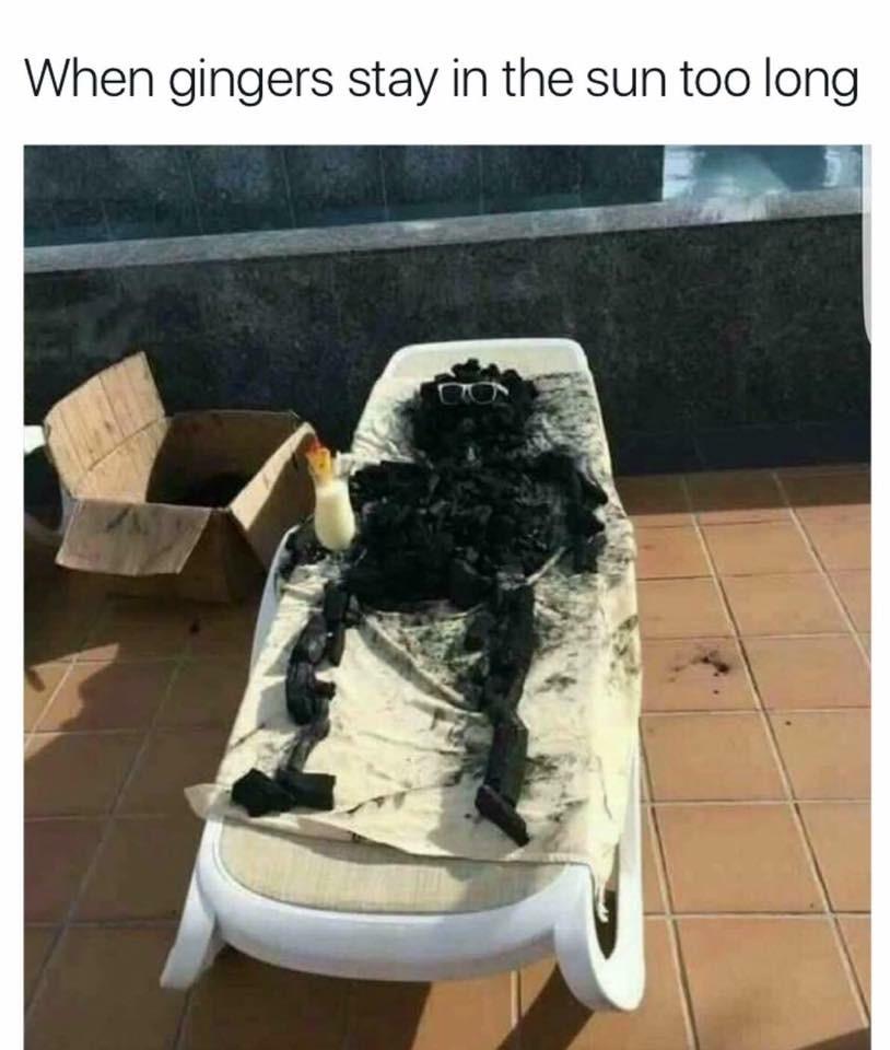 Ginger in the sun too long.jpg