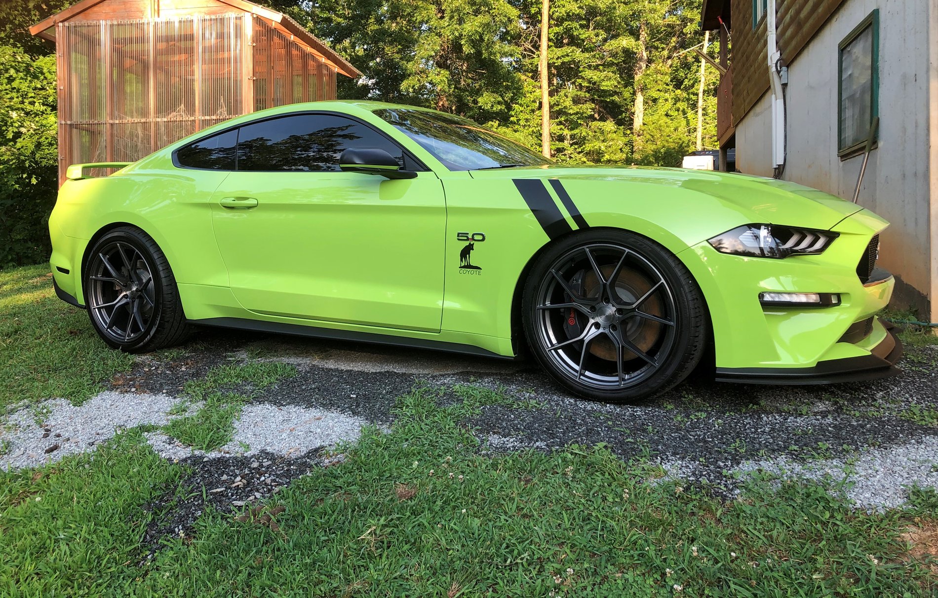 grabber-lime-ford-mustang-gt-with-stance-sf07-aftermarket-wheels-1-1.jpg