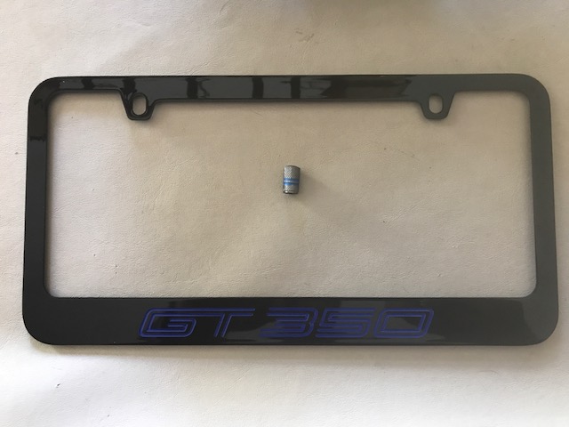 GT350 frame.JPG