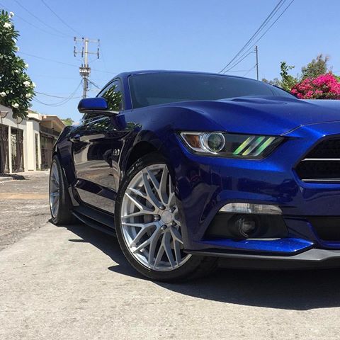 hyper-blue-ford-mustang-gt-s550-zito-zf01-mesh-rotory-forged-concave-wheels.jpg