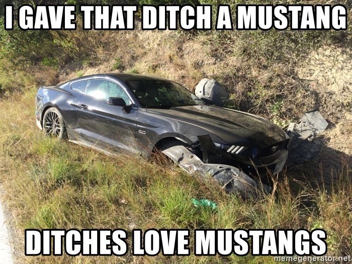 i-gave-that-ditch-a-mustang-ditches-love-mustangs.jpg