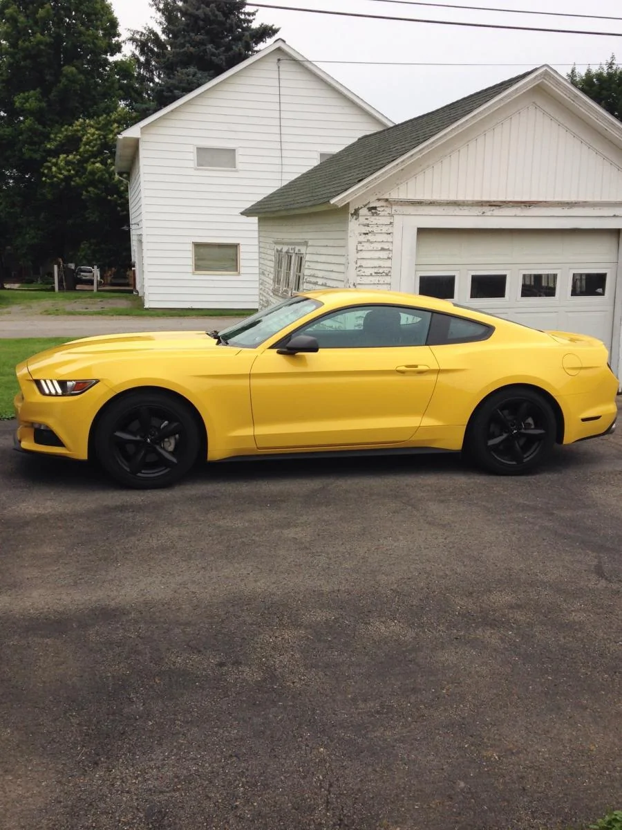Painted Black Oem Foundry Wheels 2015 S550 Mustang Forum Gt