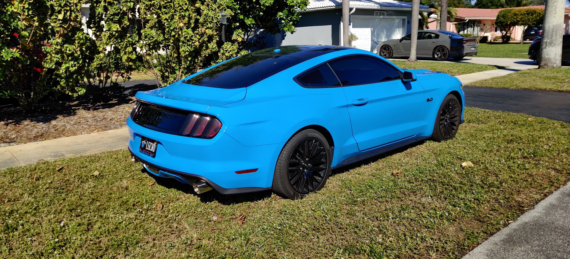 2015 Mustang Gt For Sale In Fl