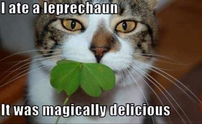 leprechaun, magically delicious.png