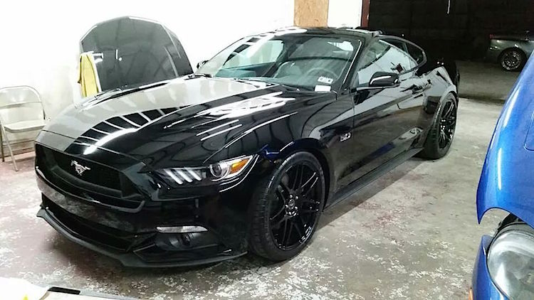 MOTM-2015-Mustang-GT.jpg