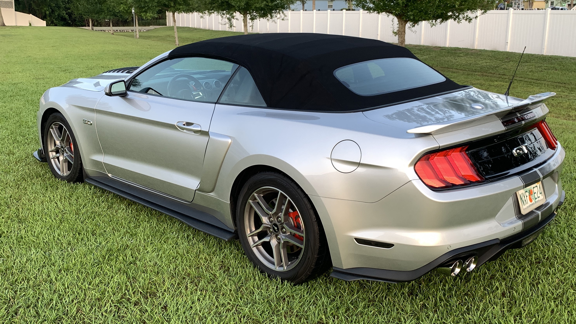 Mustang (15).jpg