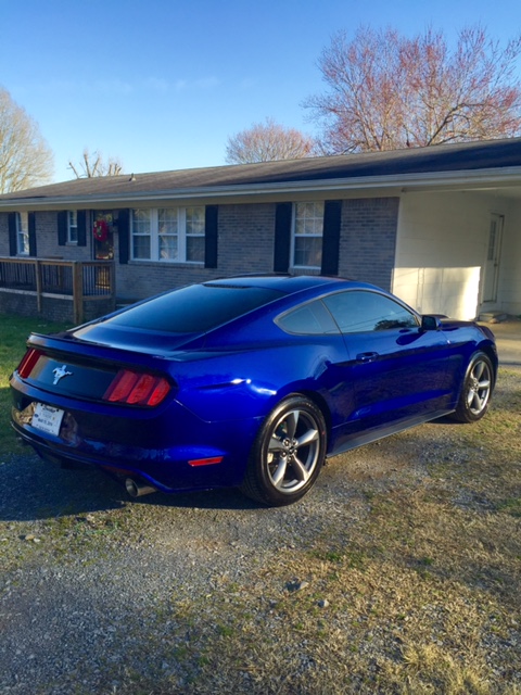 Mustang 2.jpg