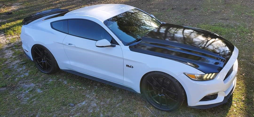 Mustang 2.jpg