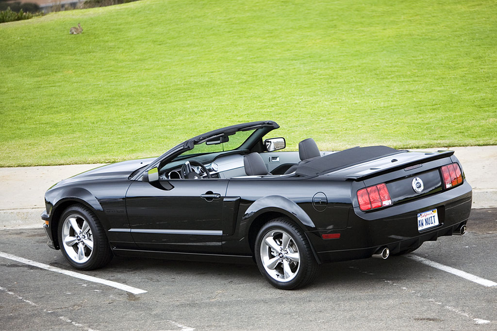 Mustang 2008 .jpg