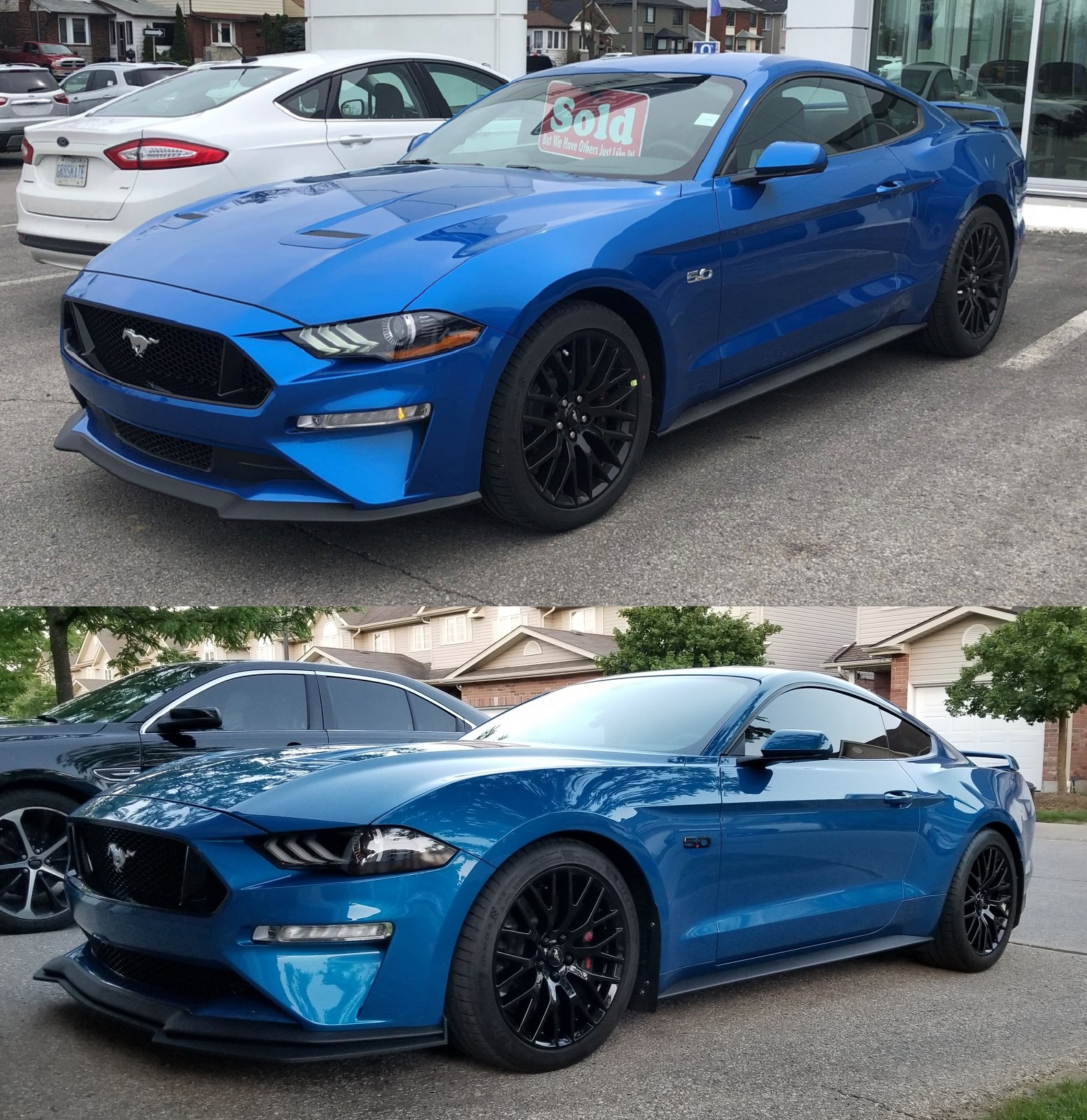 Mustang 2019 to 2023.jpg