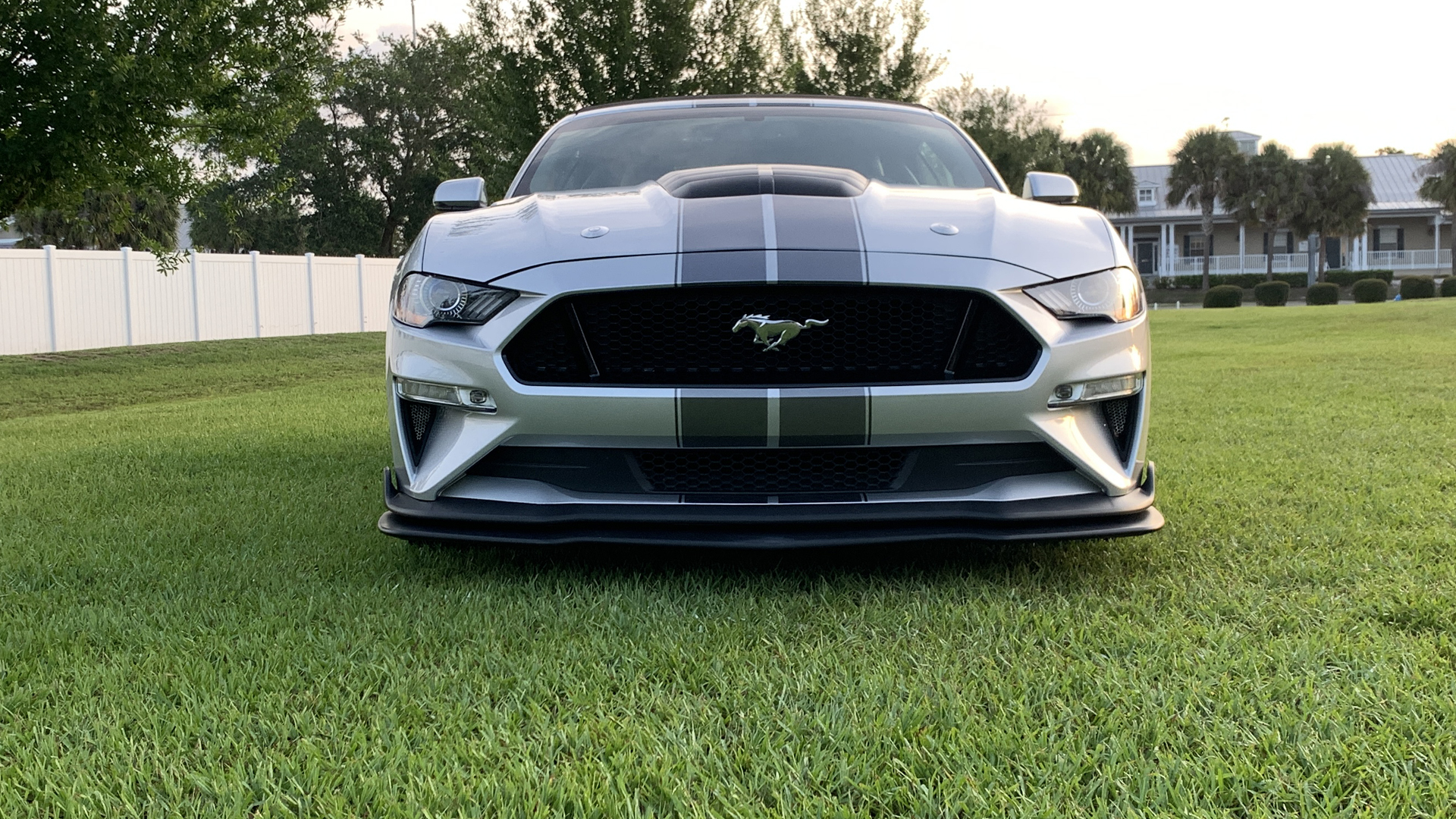 Mustang (22).jpg
