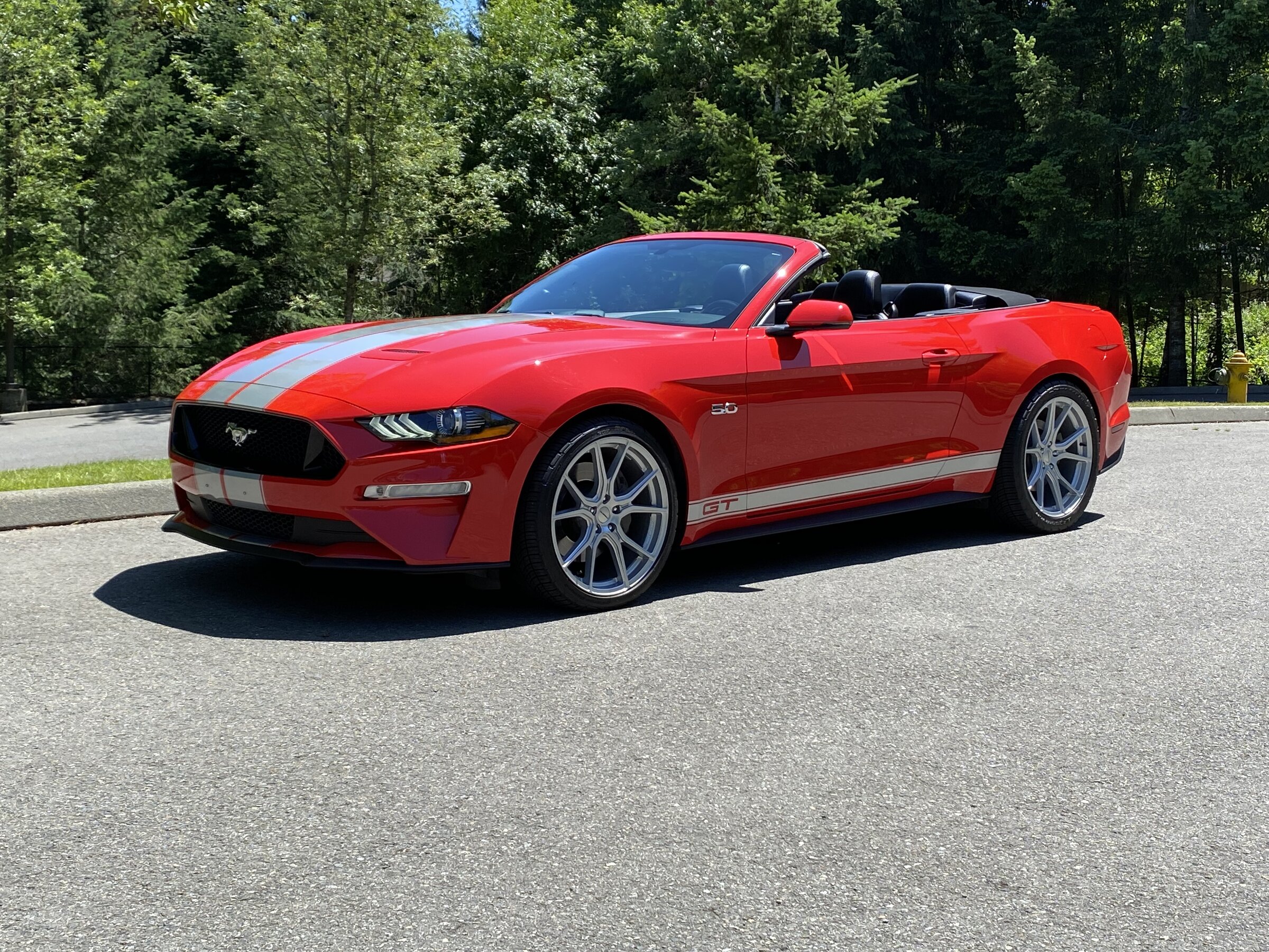 Mustang (28).JPG