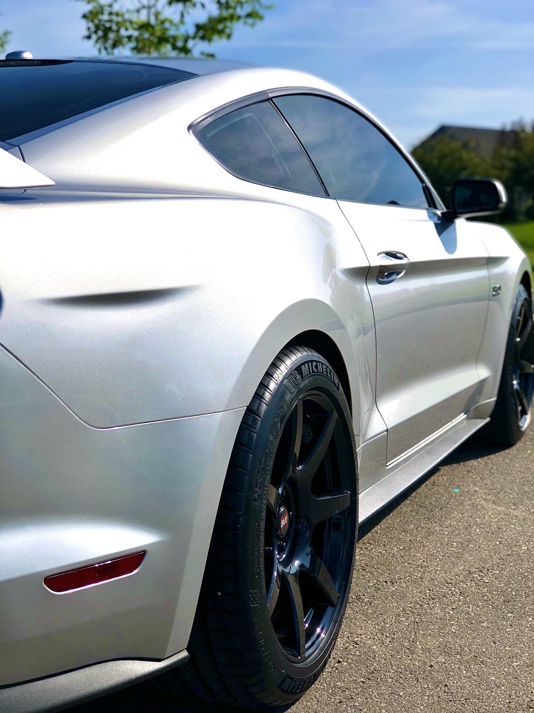 Mustang 3.jpg