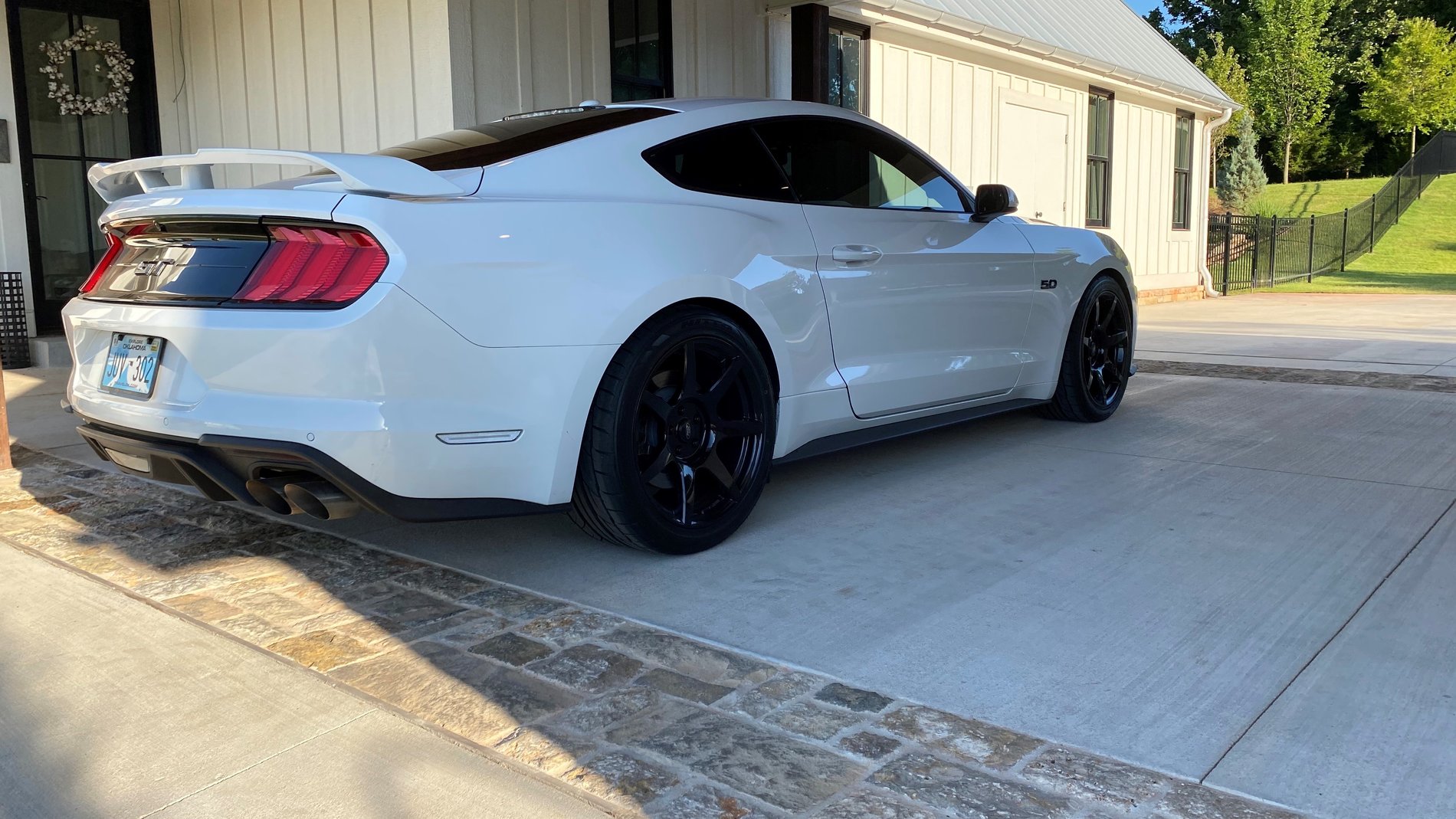 Mustang 4.jpg