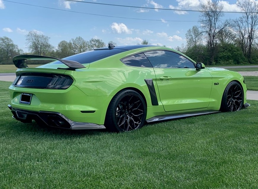 Mustang 4.jpg