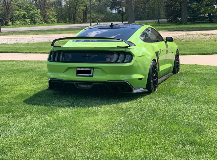 Mustang 5.jpg