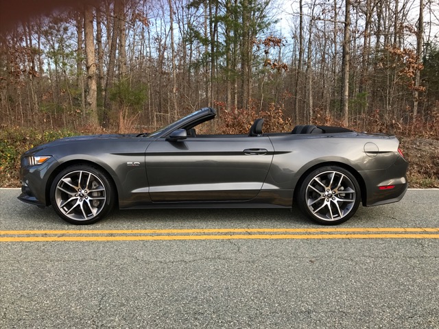 Mustang 6.jpg