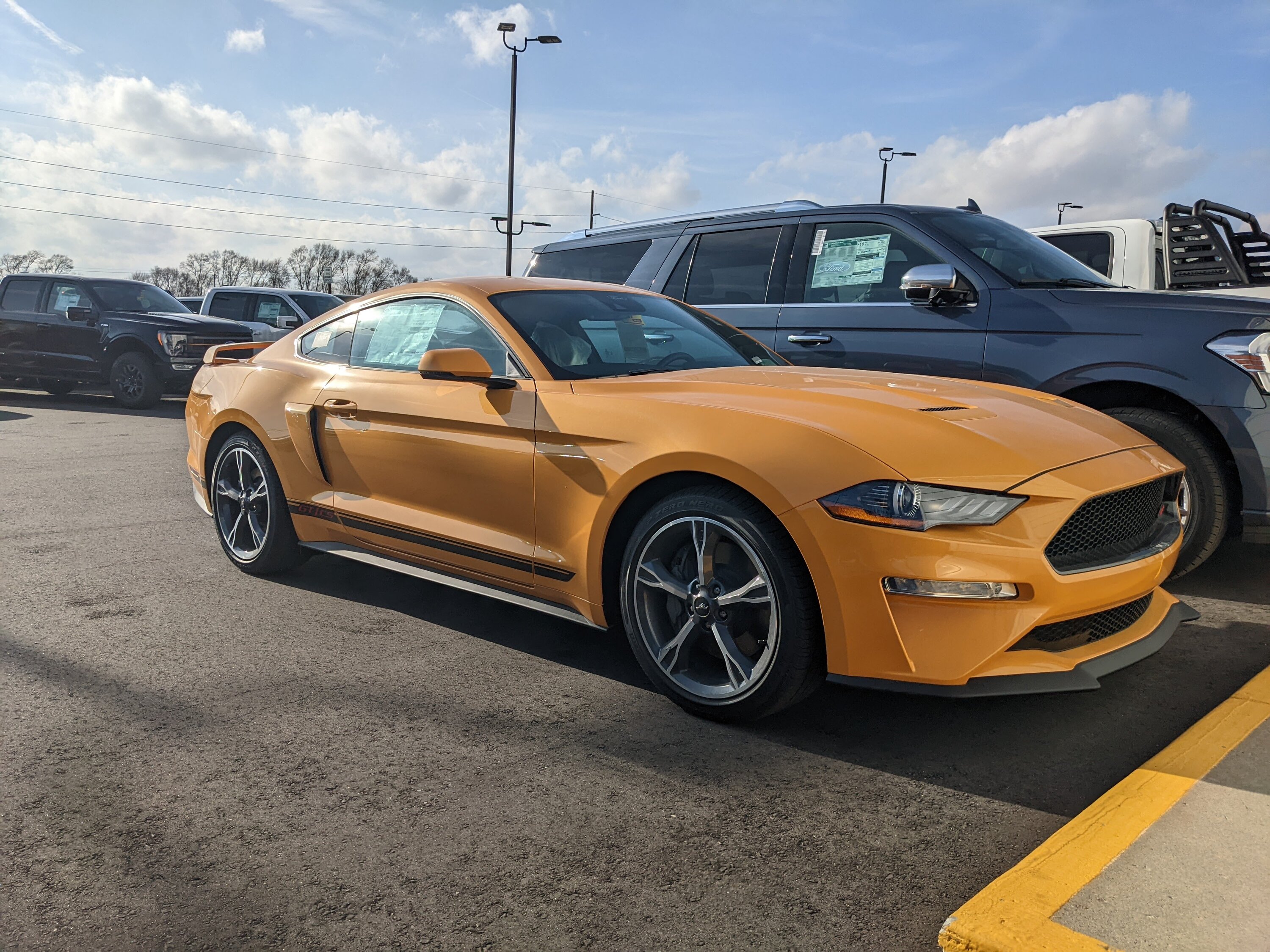 Mustang CS.jpg
