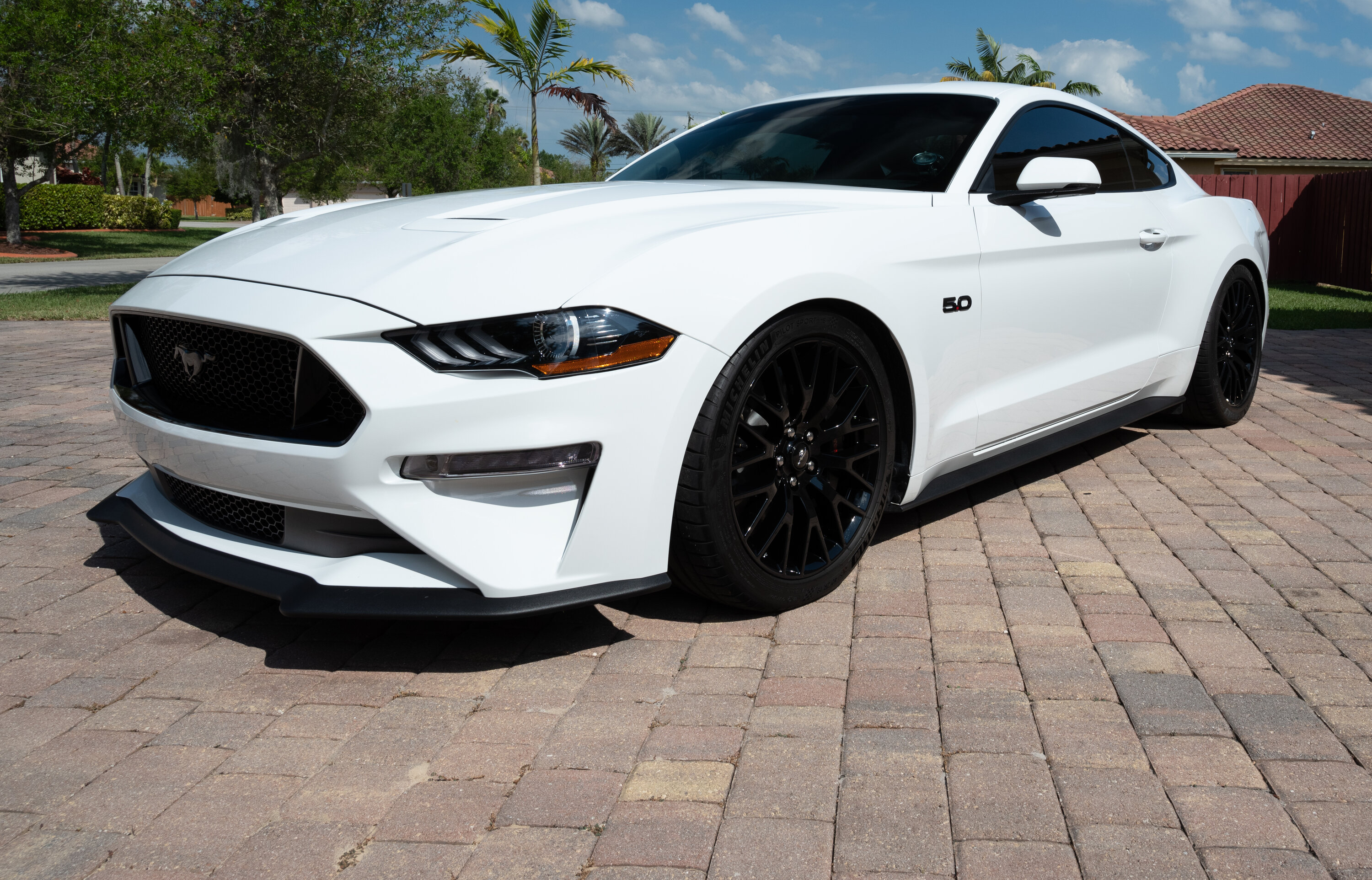 Mustang Front Side.jpg