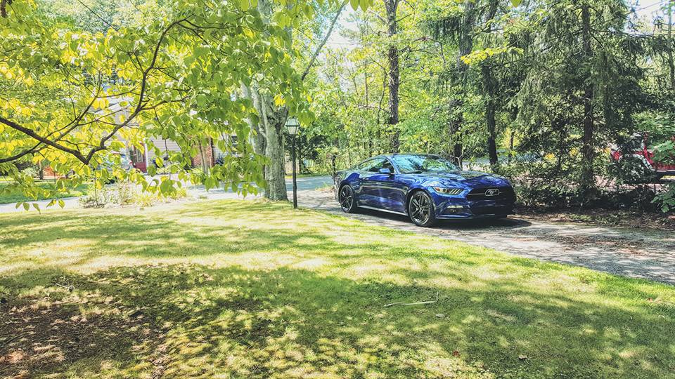 Mustang in driveway - Medford Lakes NJ 8.2.15.jpg