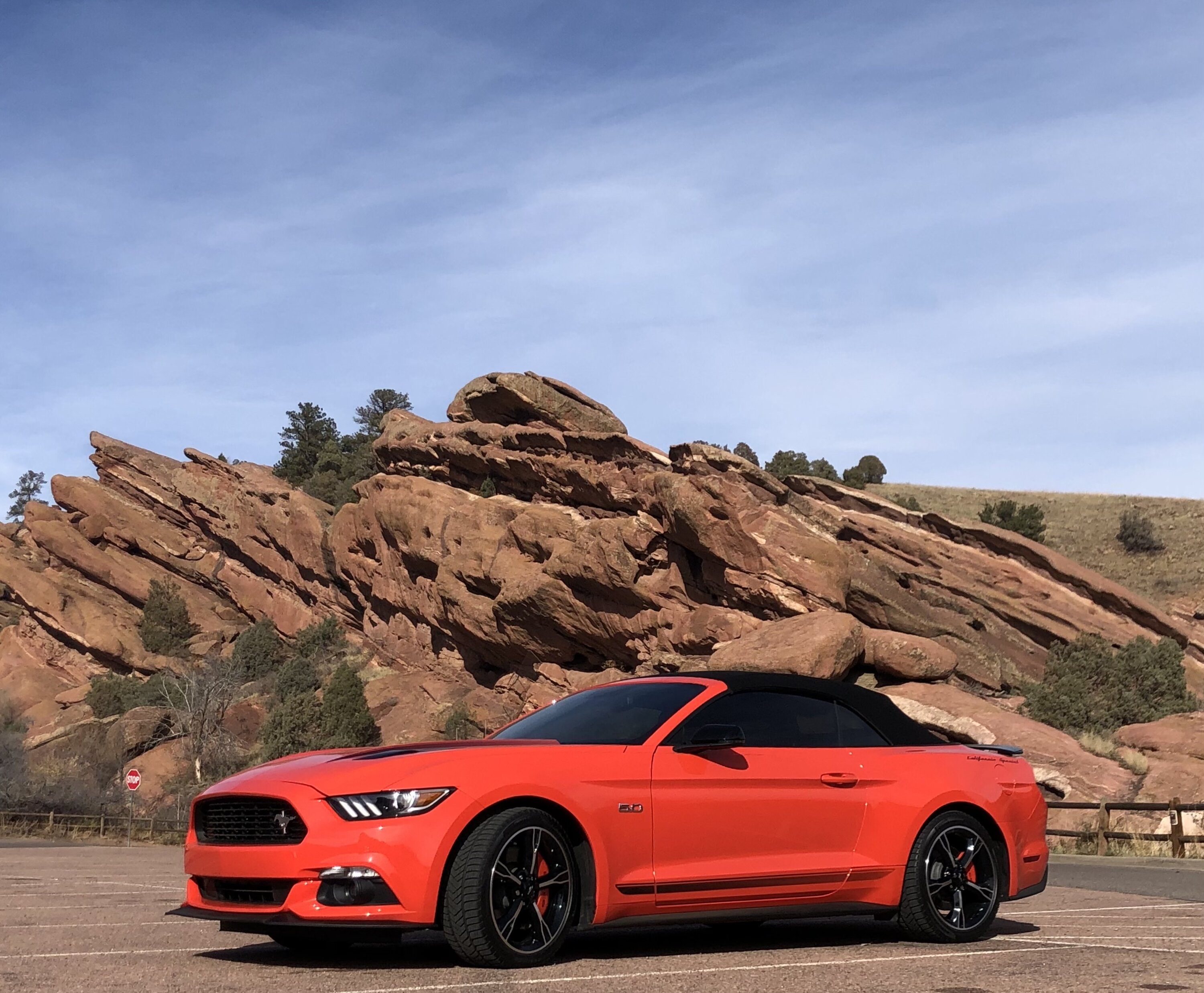Mustang.jpeg