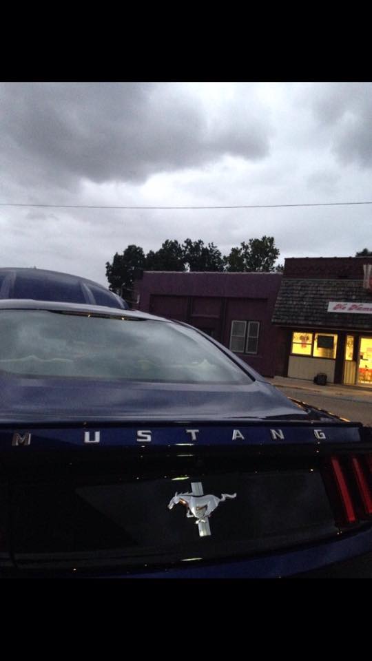 Mustang lettering on trunk.jpg
