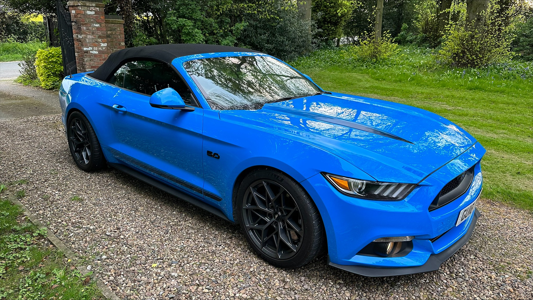 Mustang lowered 2.jpeg