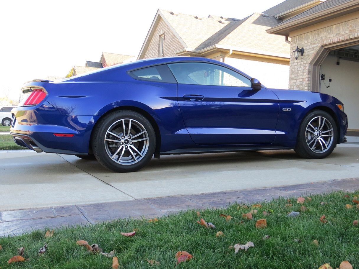 Mustang LowRes2.jpg