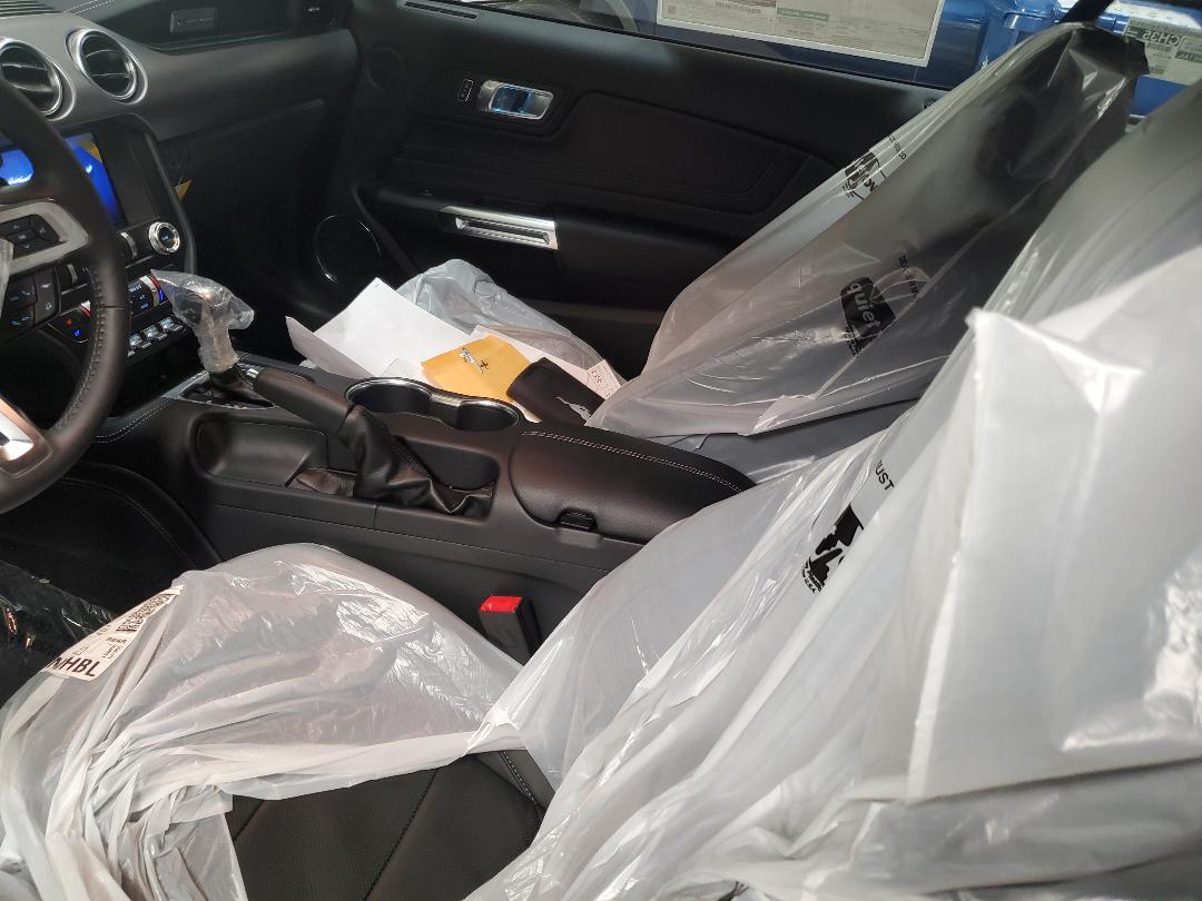 mustang new interior with packaging.jpg