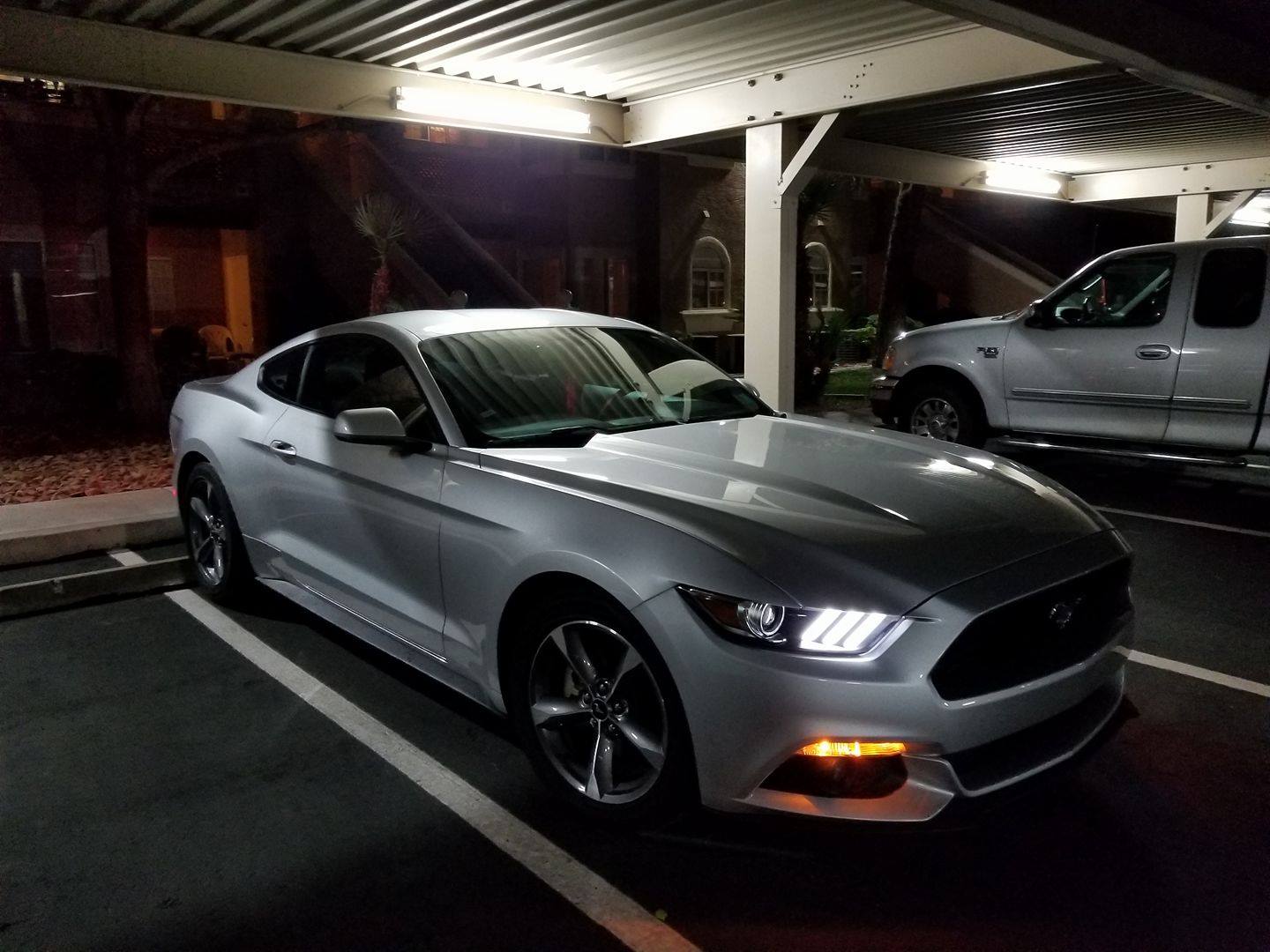 Mustang night3.jpg