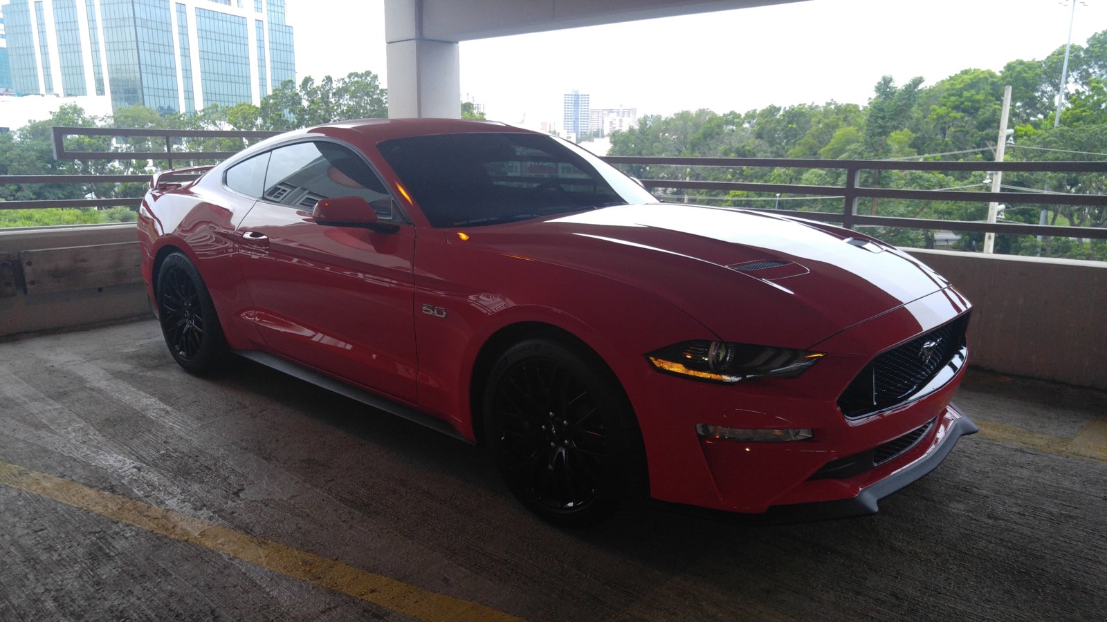 Mustang Parking3.jpg