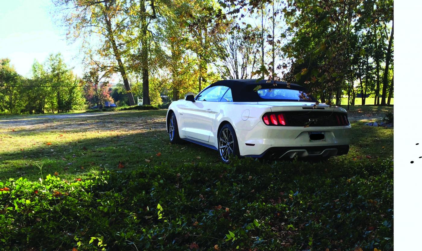 Mustang rear.jpg