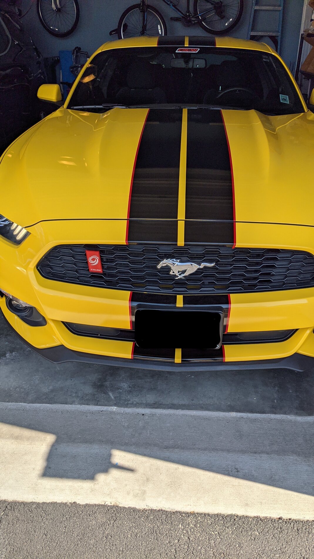 Mustang Shelby GT350 style stripes.jpg